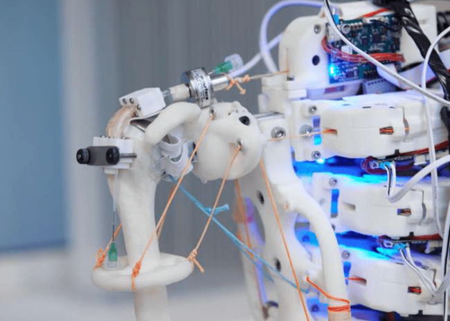 Close-up of a robotic arm with exposed wires, circuit boards, and glowing blue lights.