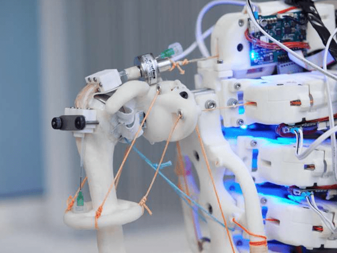 using-a-robotic-should Close-up of a robotic arm with exposed wires, circuit boards, and glowing blue lights.